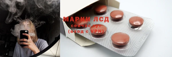 сатива Абаза