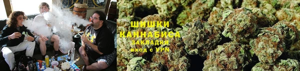 сатива Абаза