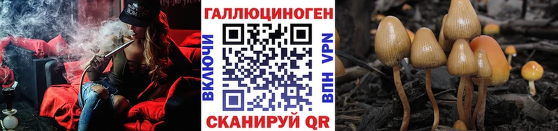 Псилоцибиновые грибы прущие грибы  Зверево 
